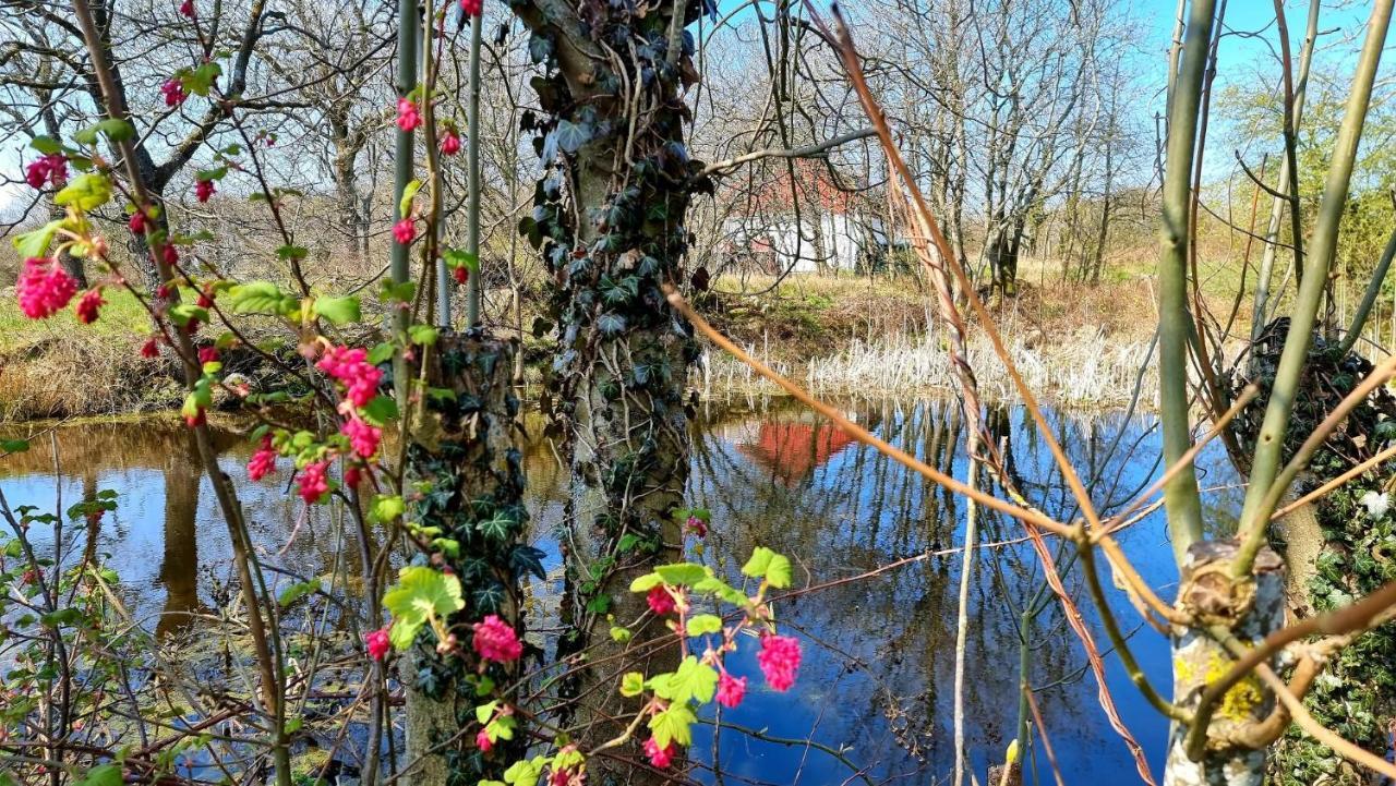 Bornholm Majalis Daire Rønne Dış mekan fotoğraf